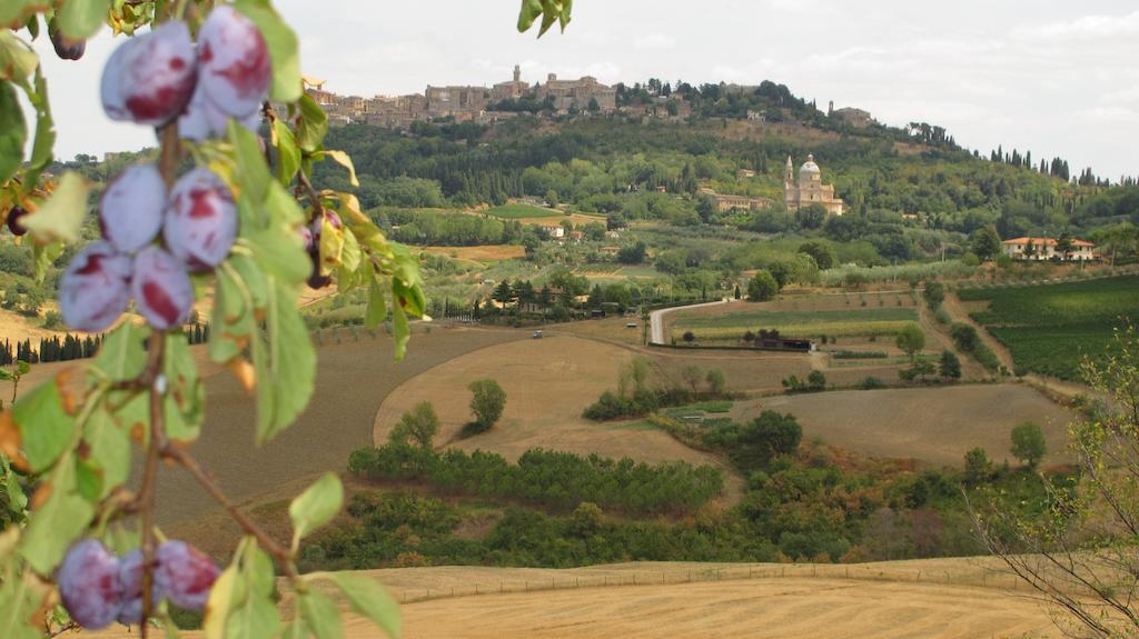 Agriturismo Villa Mazzi มอนติปุลเชียโน ภายนอก รูปภาพ